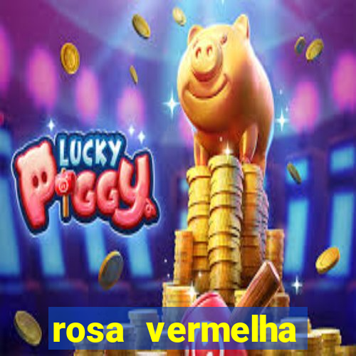 rosa vermelha (letra e cifra)